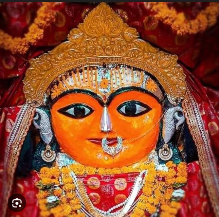 चैत्र नवरात्र हर वर्ष की भांति इस वर्ष भी गद्दी चौक से  मां शाकंभरी की  भव्य चुनरी यात्रा का आयोजन, श्रद्धालुओं में उत्साह