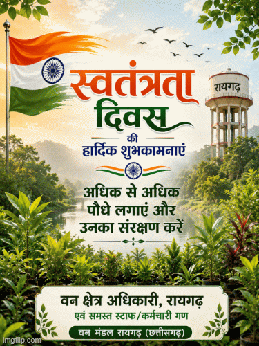 Advertisment Image