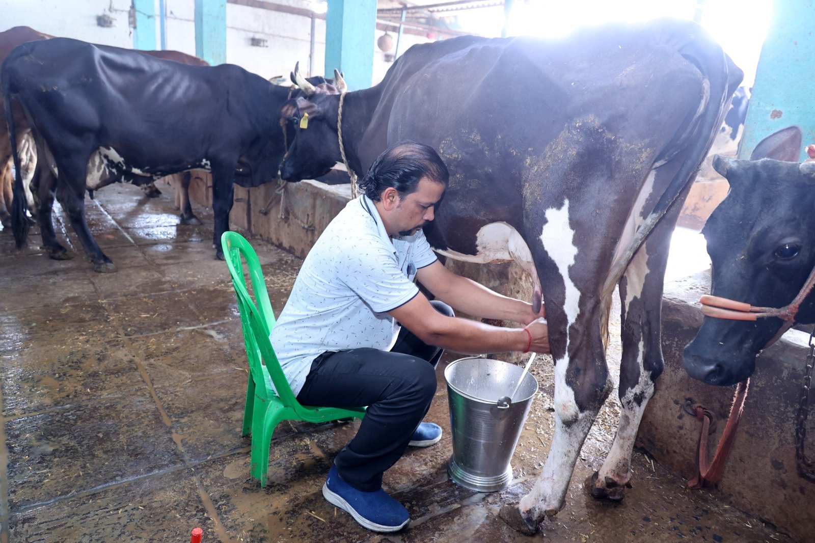 सेवा संकल्प अभियान: बदलाव की वास्तविक कहानी  डेयरी उद्यमिता योजना से जुर्डा निवासी राकेश पटेल को मिली नई उड़ान  एक गाय के साथ शुरू किया दूध उत्पादन का कार्य, अब गायों की संख्या हुई 117